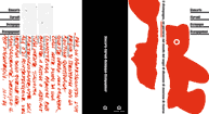 Disimpegno/Disengagement